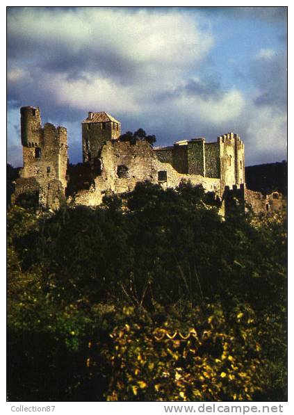 couleur vert (14).jpg